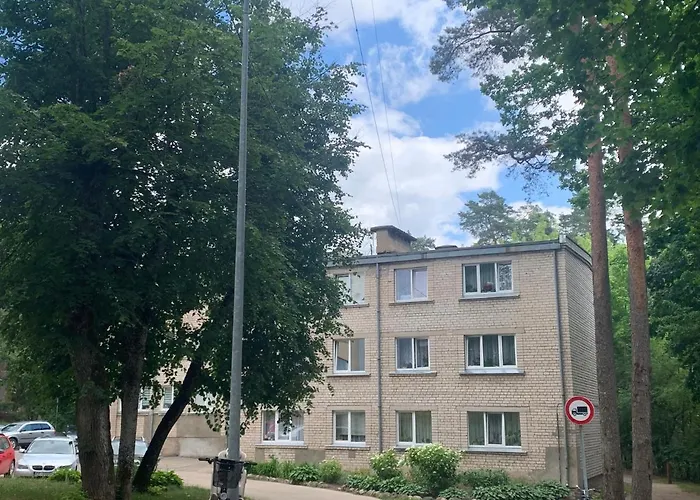 Studio Tipa Dzivoklis Ogre